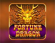 Fortune Dragon PP