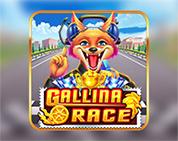 Gallina Race